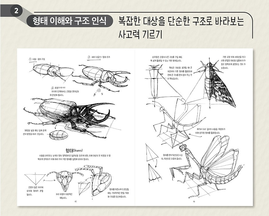 The Dynamic Bible Peter Han Art Drawing Sketch Book Korean Edition