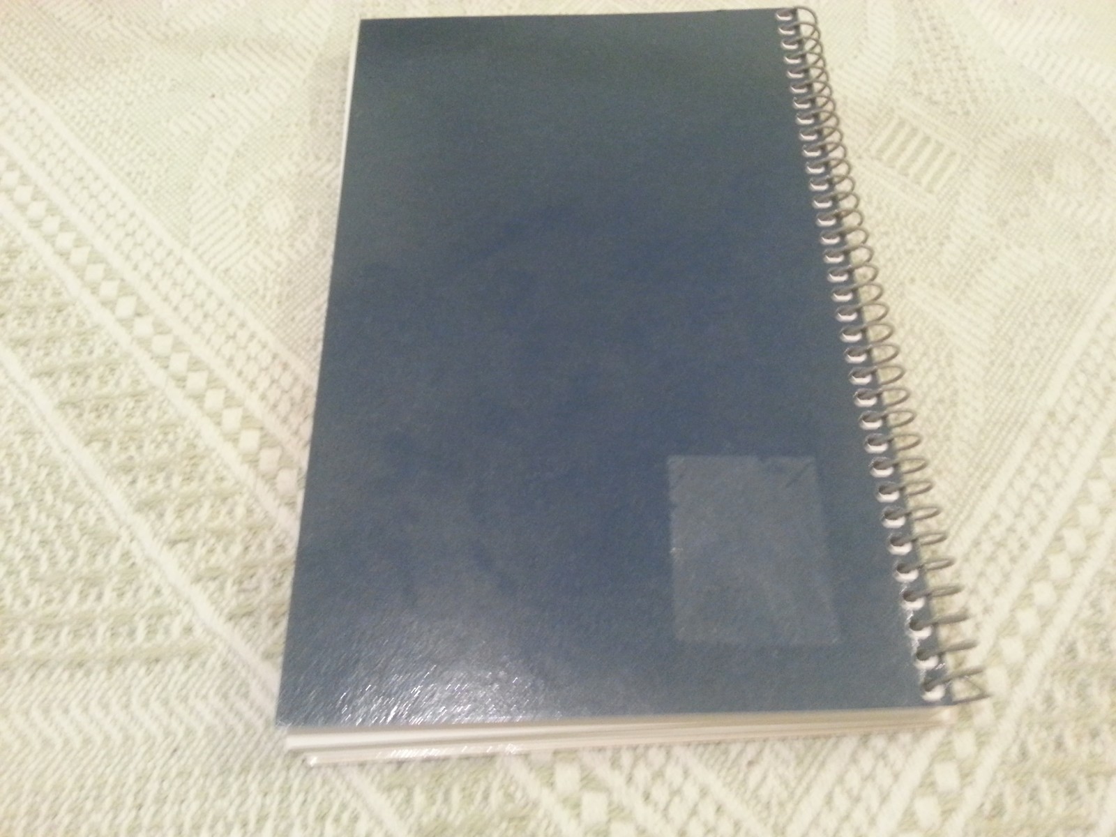 RECIPES THAT KICK! Cookbook 126 pages ROCHESTER, MN Century High Girls Soccer