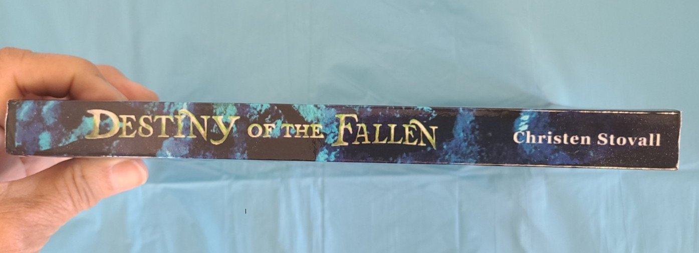 Destiny of the Fallen by Christen Stovall (PB/2024)