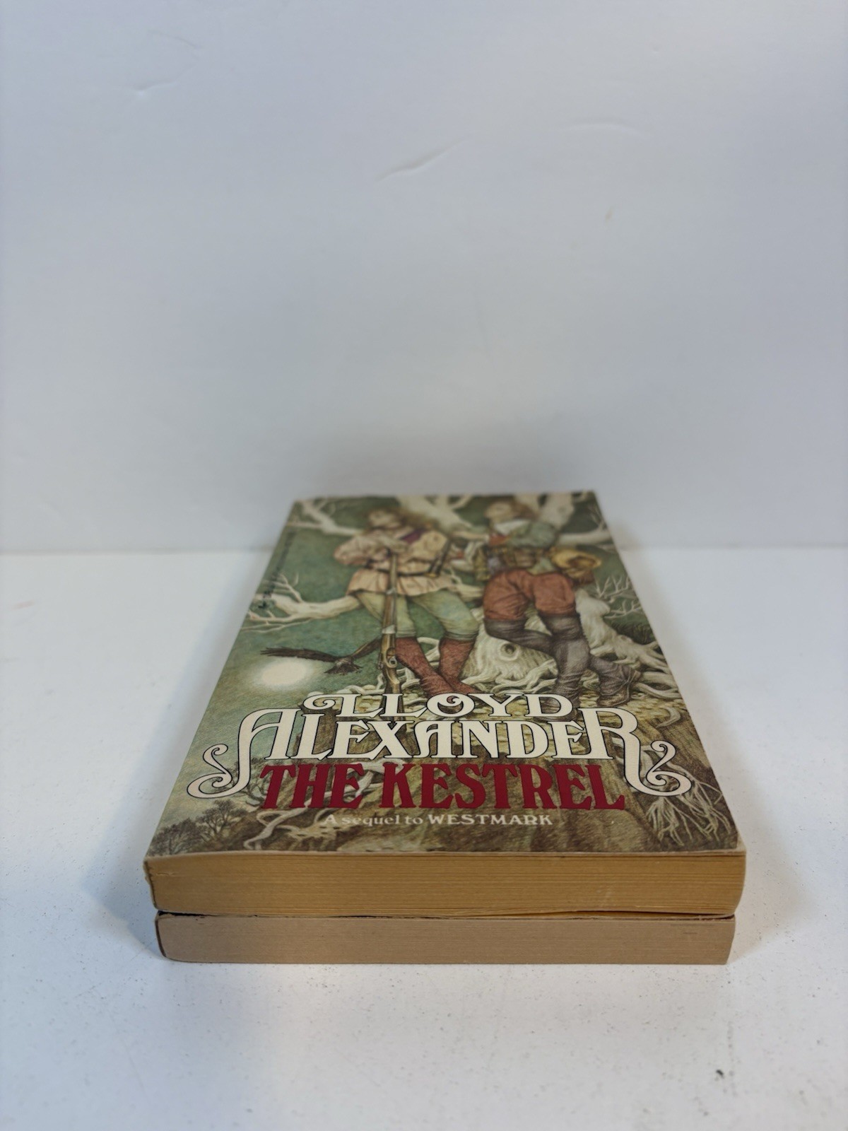 Robin Hobb Lot If 4 Books – Tawny Man 1, 3 & Fitz And Fool 1, 2