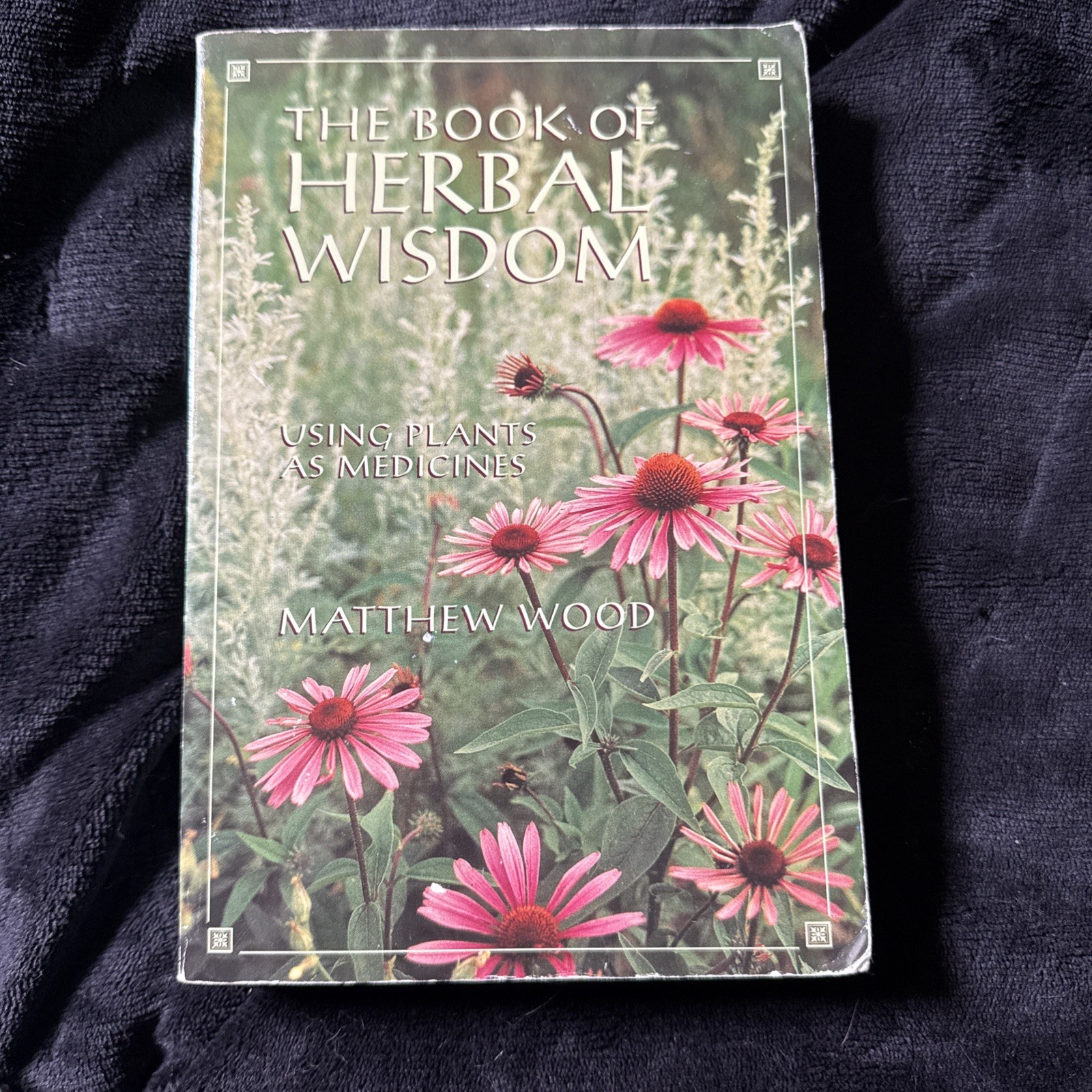 Book of Herbal Wisdom : Using Plants As Medicines by Matthew Wood (1997)