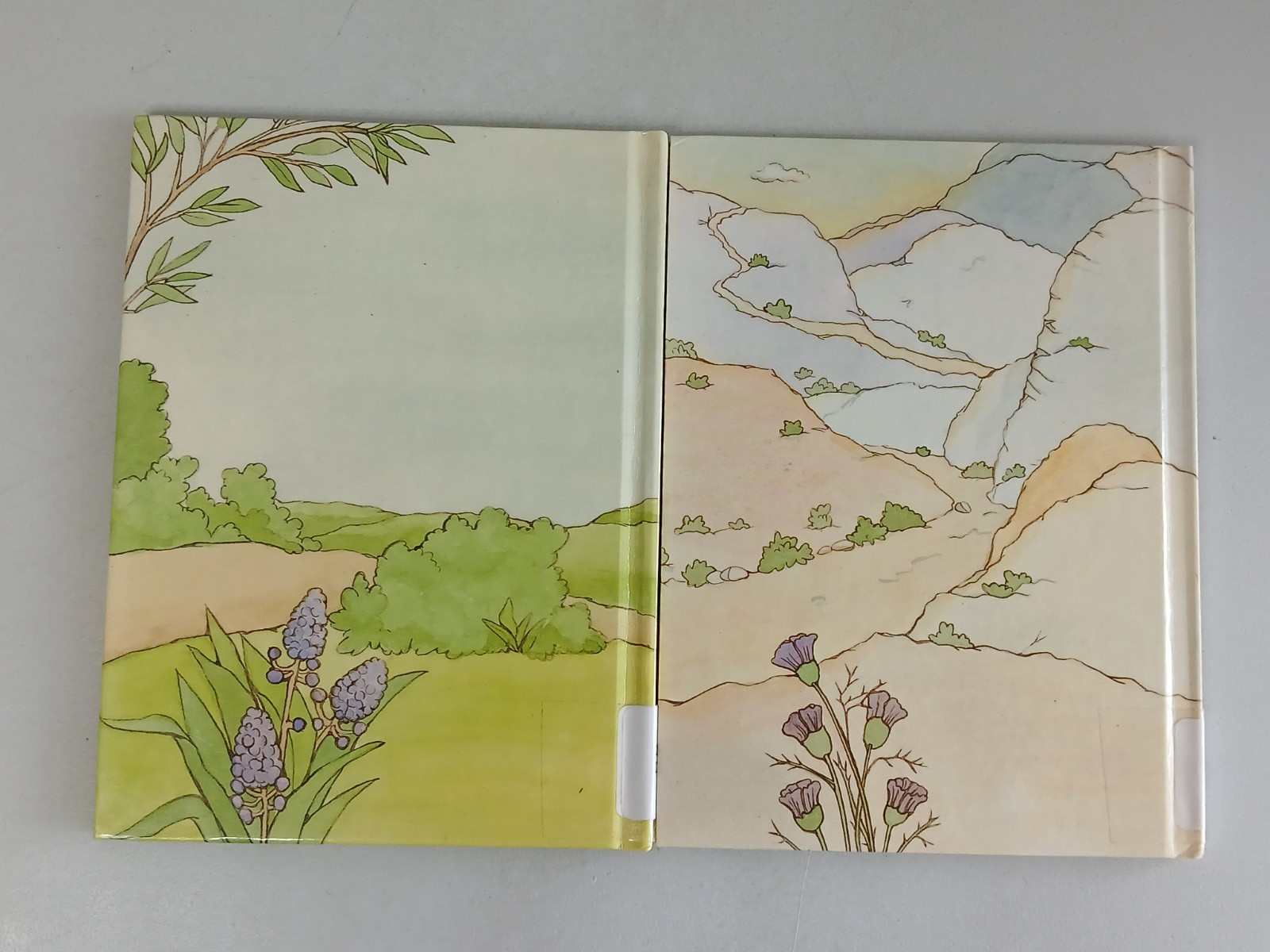Davidson ALICE IN BIBLELAND Series Vintage 1980s HC Kids Book Lot of 14 Titles