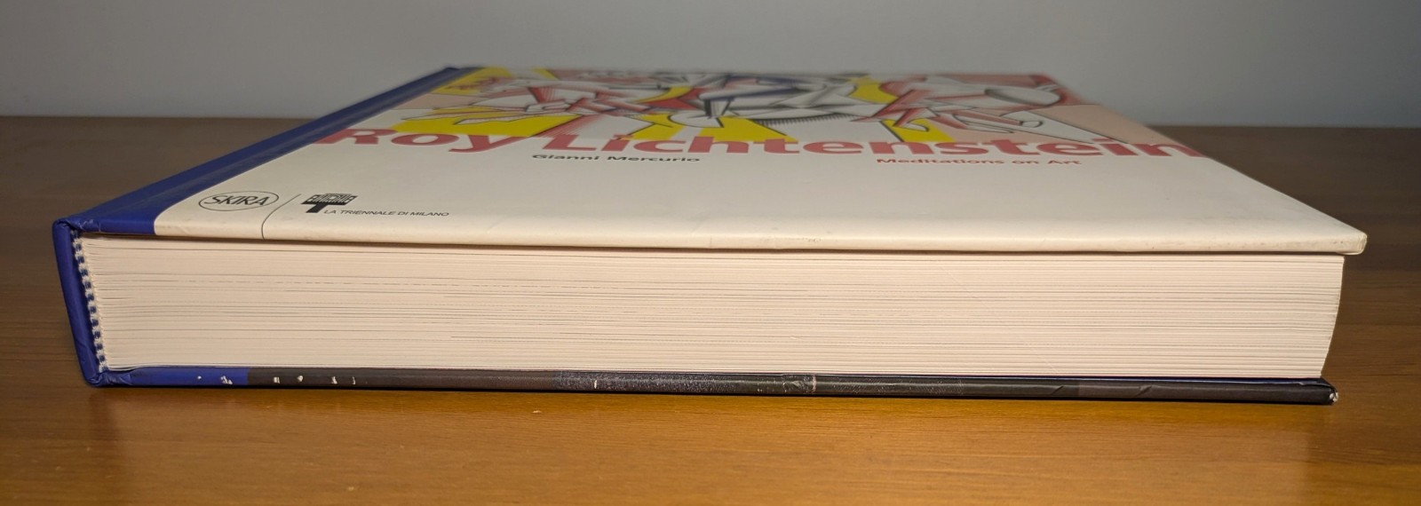 Roy Lichtenstein : Meditations on Art by Gianni Mercurio (2010, Hardcover) VG