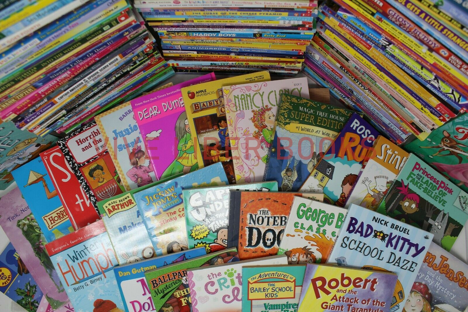 Bulk/Huge Lot of 50 of Children’s Kids Chapter Books – Random – Free Shipping!