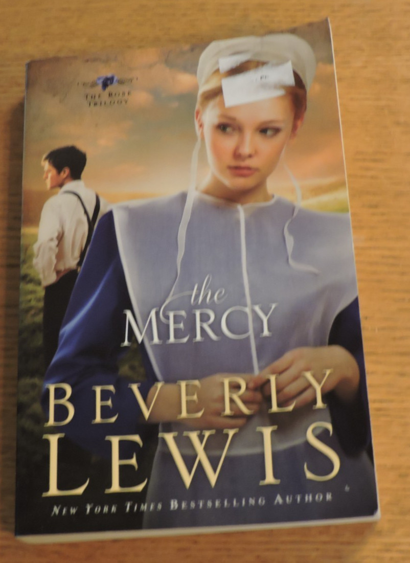 The Mercy (The Rose Trilogy, Book 3) by Lewis, Beverly Paperback 303 pages