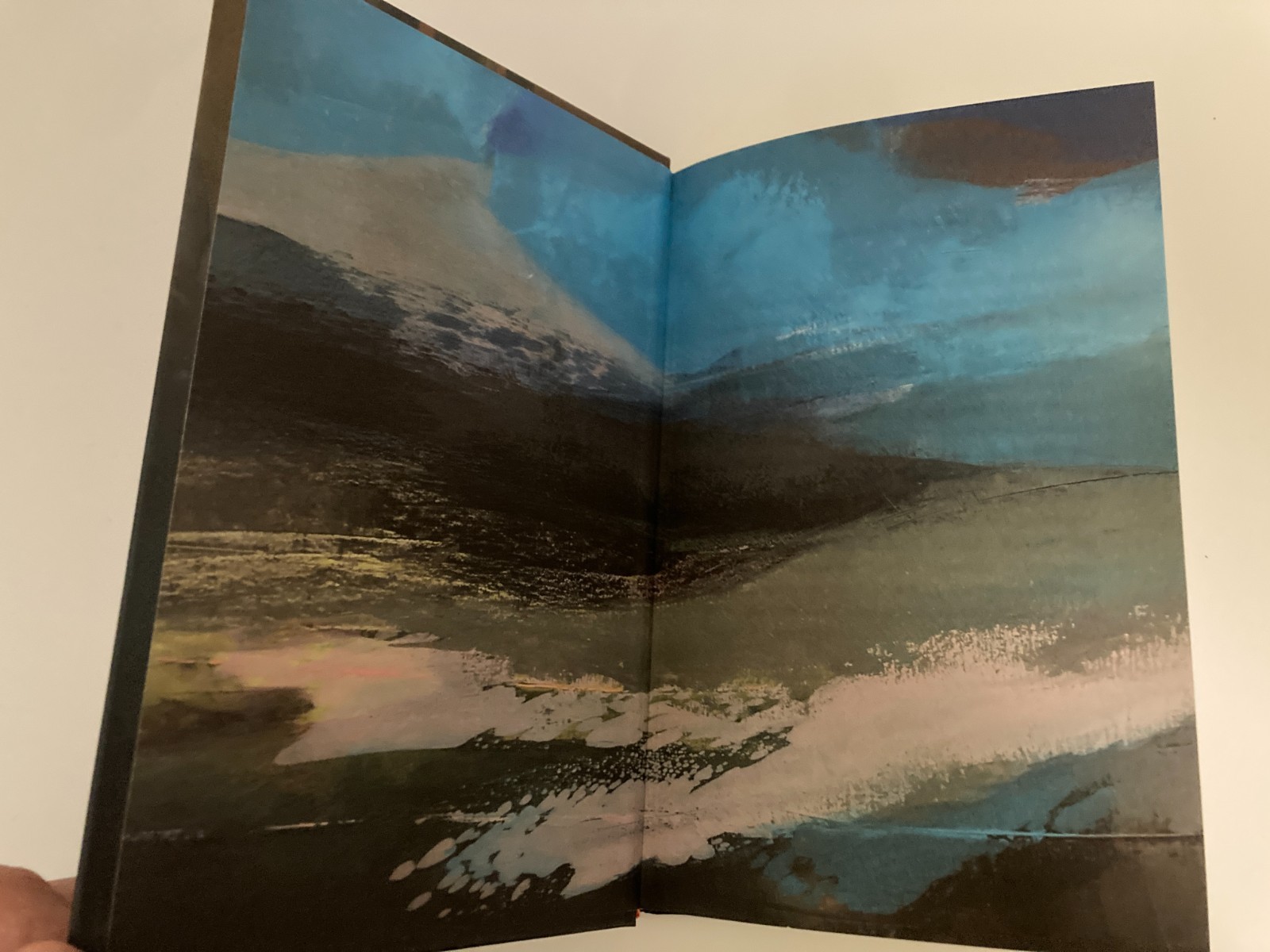 Walk The Blue Fields by Claire Keegan (2025, Hardcover) 1st UK Printing Like New