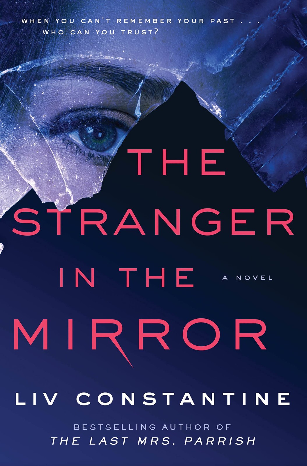 The Stranger in the Mirror: A Novel – hardcover Constantine, Liv