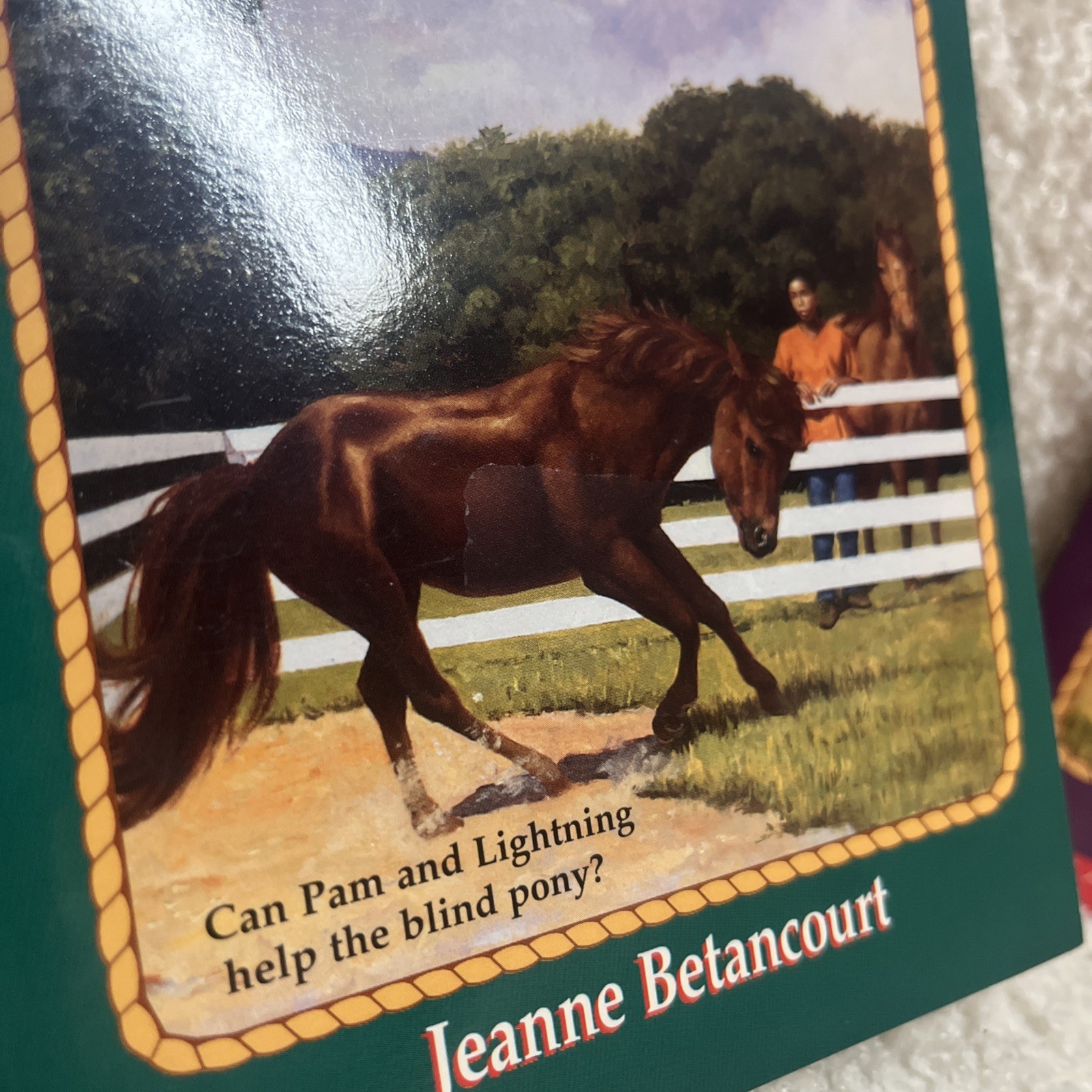 Lot 21 Pony Pals Book Paperback Horse Books Jeanne Betancourt Vintage Scholastic