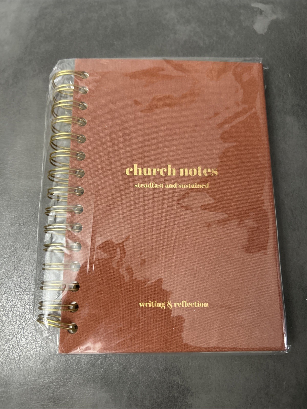 Steadfast and Sustained Church Notes Journal Tan Hardcover