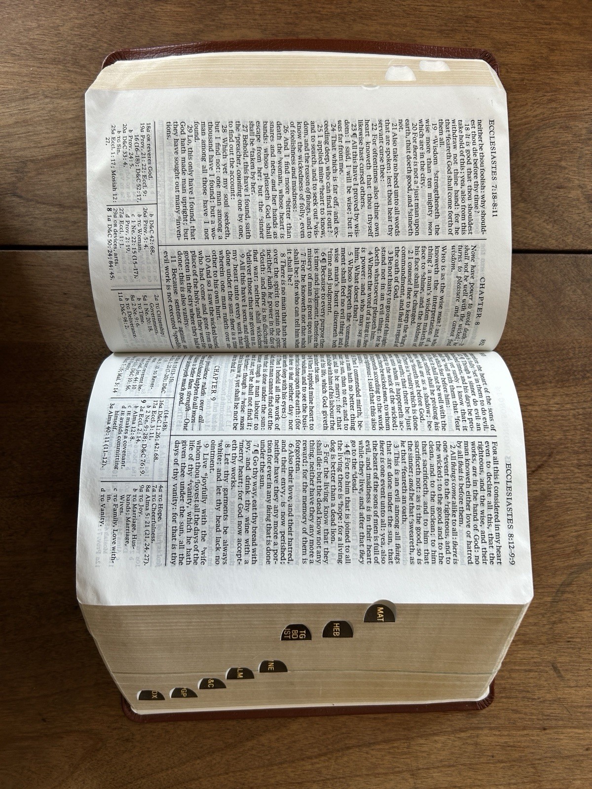 Holy Bible Book of Mormon Doctrine and Covenants Pearl of Great Price Indexed