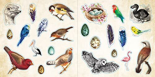 Loads of Ephemera Sticker Book (Over 580 stickers!)