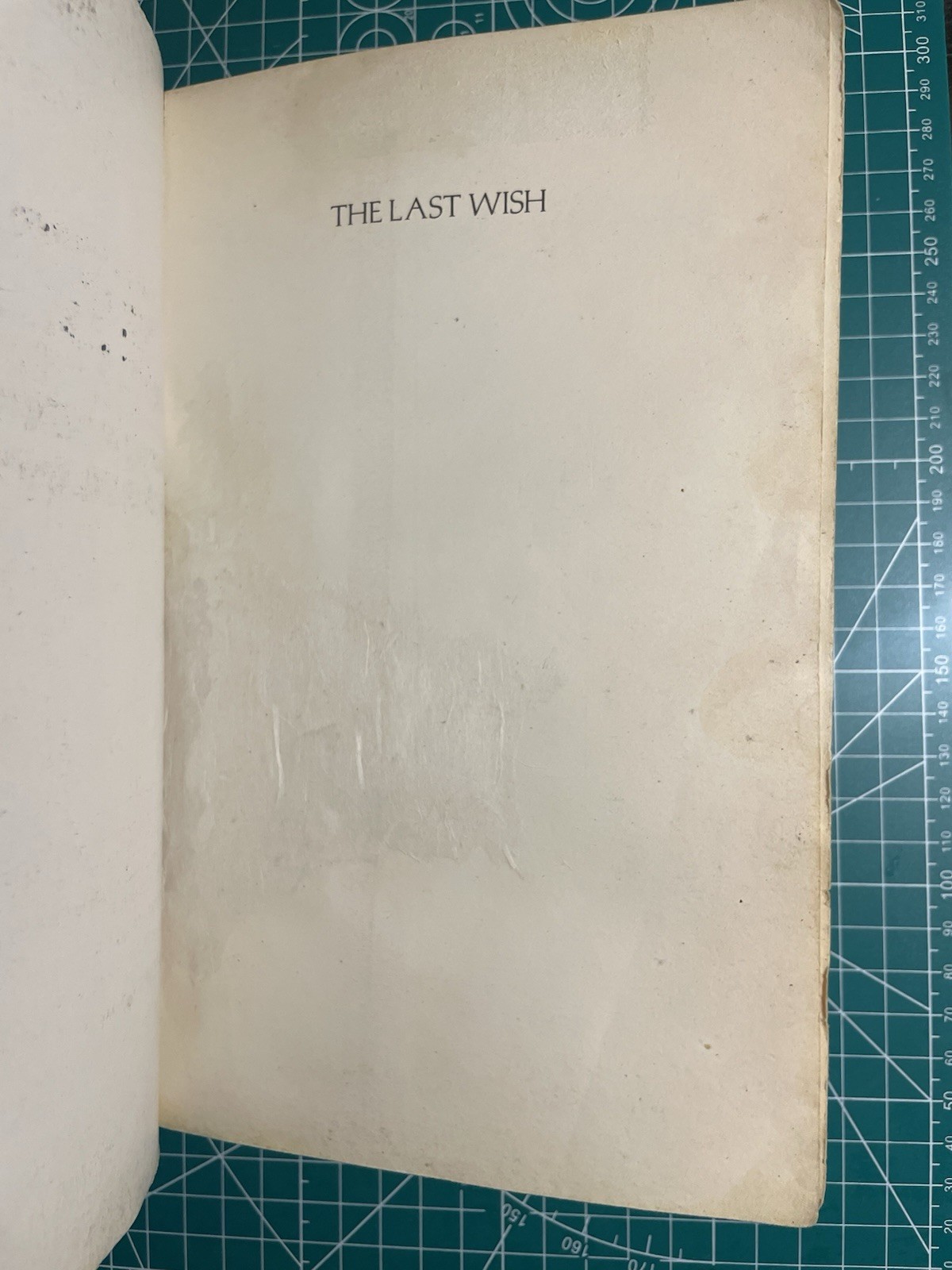 The Last Wish 1st Eng Ed 1st Print SC Andrzej Sapkowski Gollancz Fair Condition