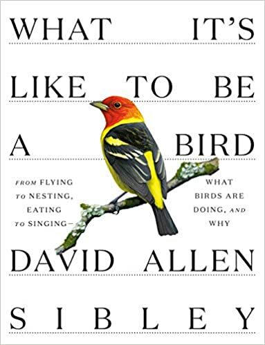 What It’s Like to Be a Bird: From Flying…HARDCOVER 2020 David Allen Sibley