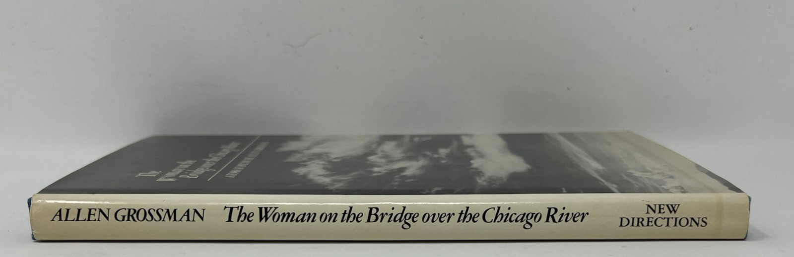 VTG The Woman on the Bridge over the Chicago River by Allen Grossman – 1979 HCDJ