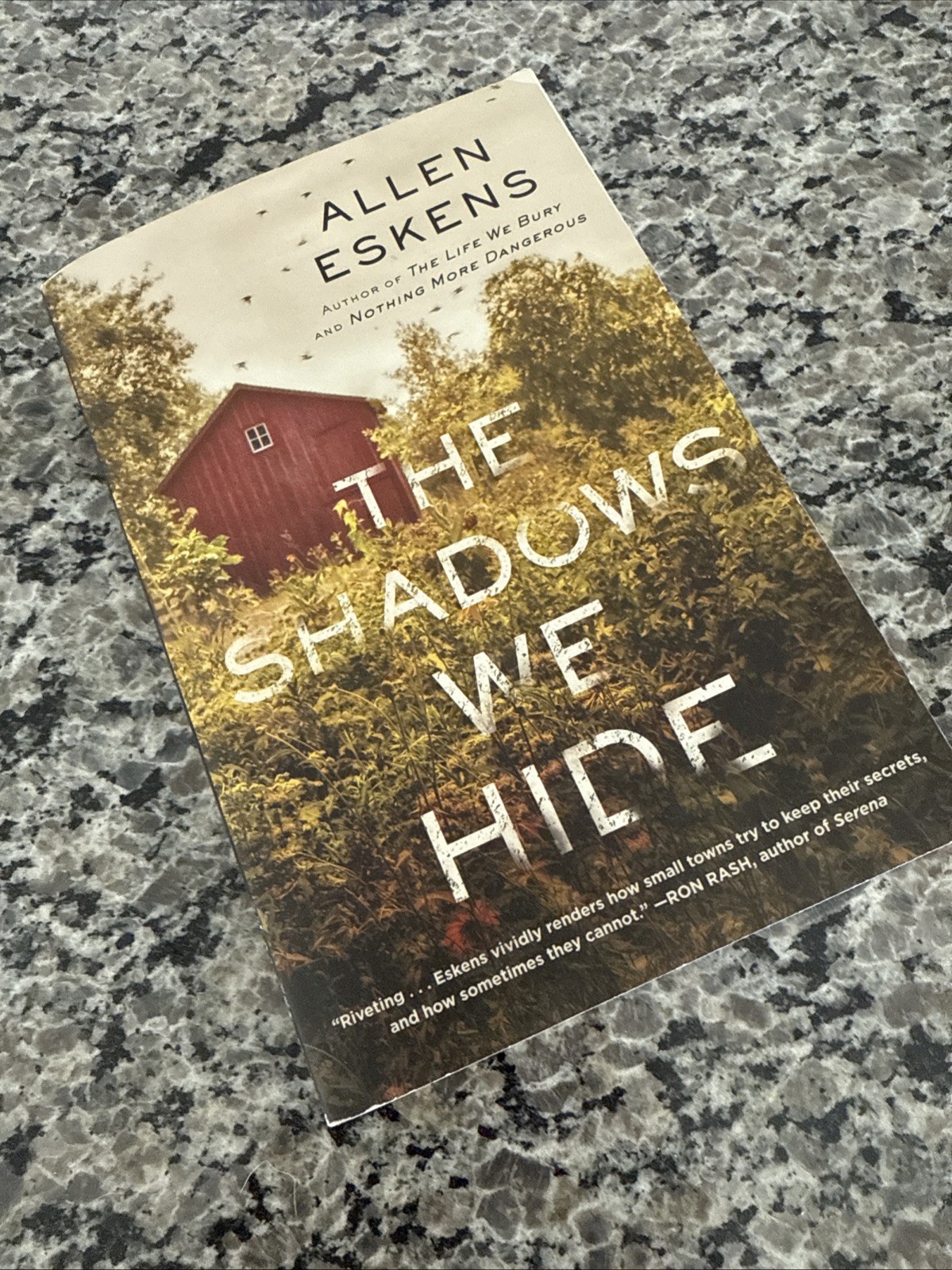 NEW-Shadows We Hide:The Highly Acclaimed Sequel to the Life We Bury by Allen…