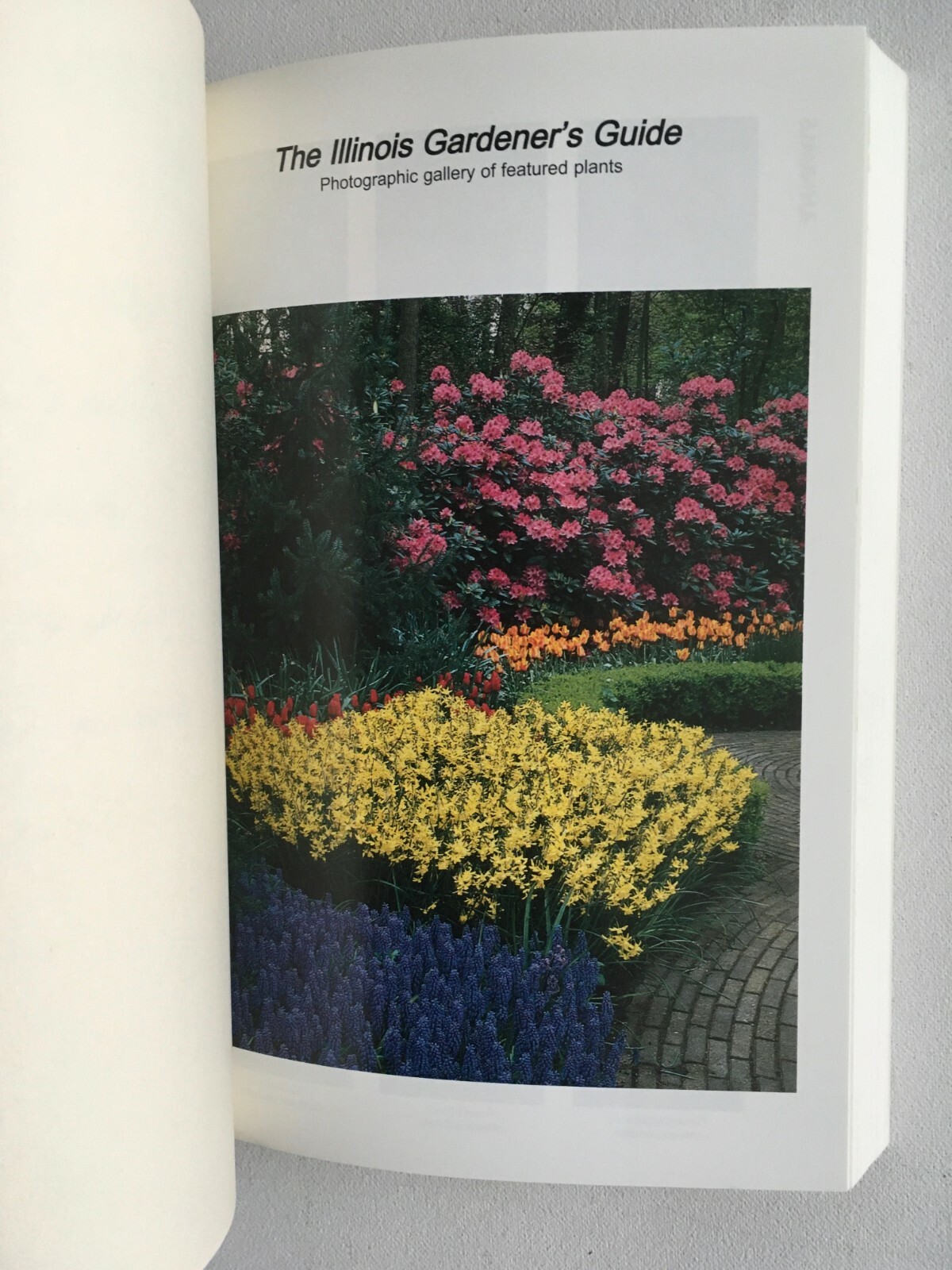 Illinois Gardener’s Guide, by James A. Fizzel. Cool Springs Press PB