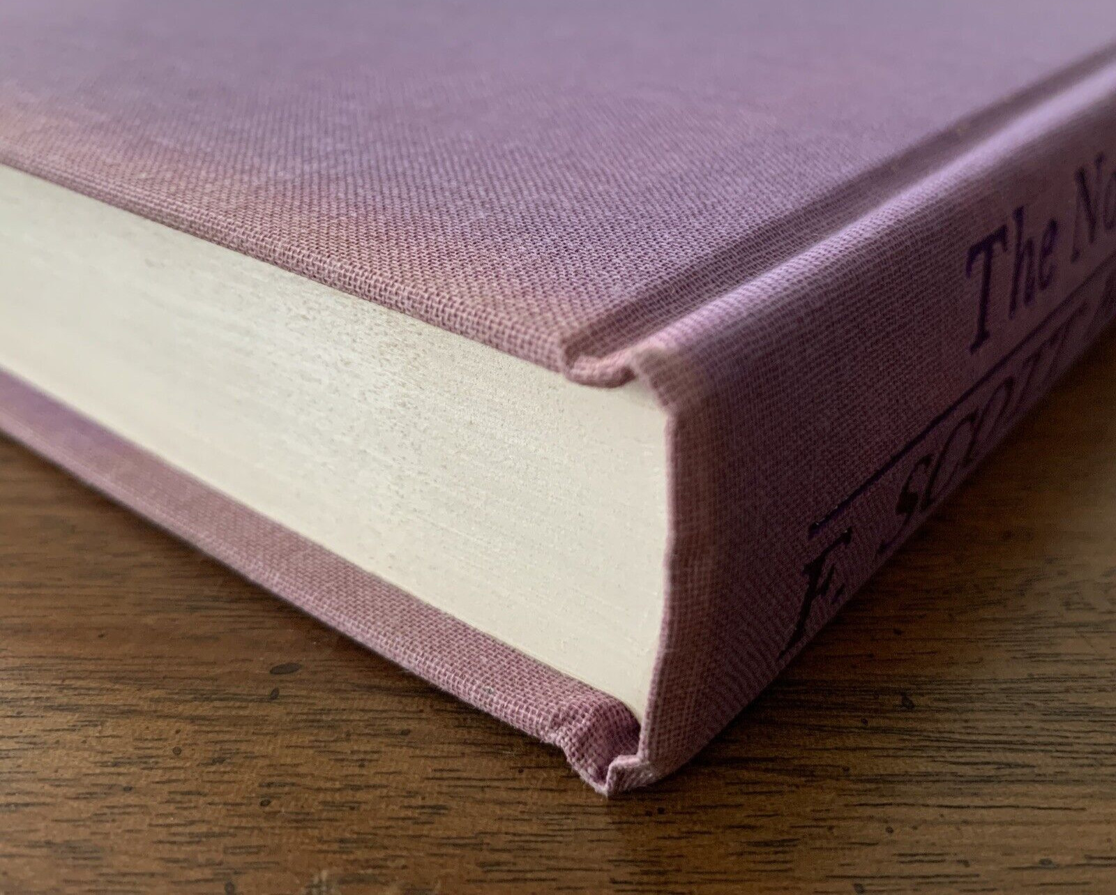 The Notebooks of F. Scott Fitzgerald – Matthew Bruccoli 1st Edition HCDJ