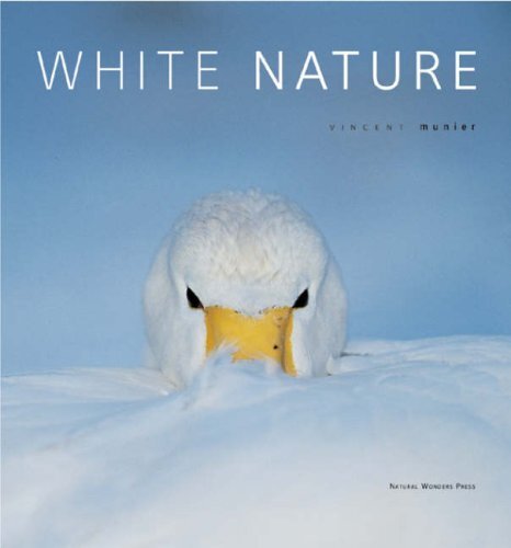 White Nature