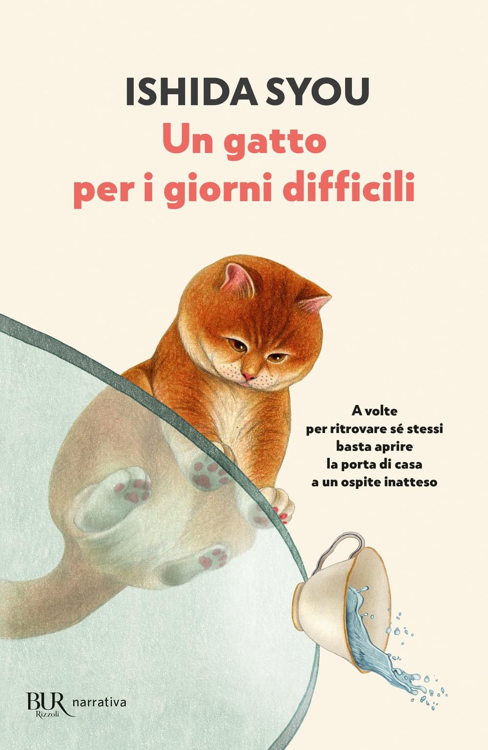 Syou Ishida Raffaele Pap Un gatto per i giorni difficil (Paperback) (UK IMPORT)