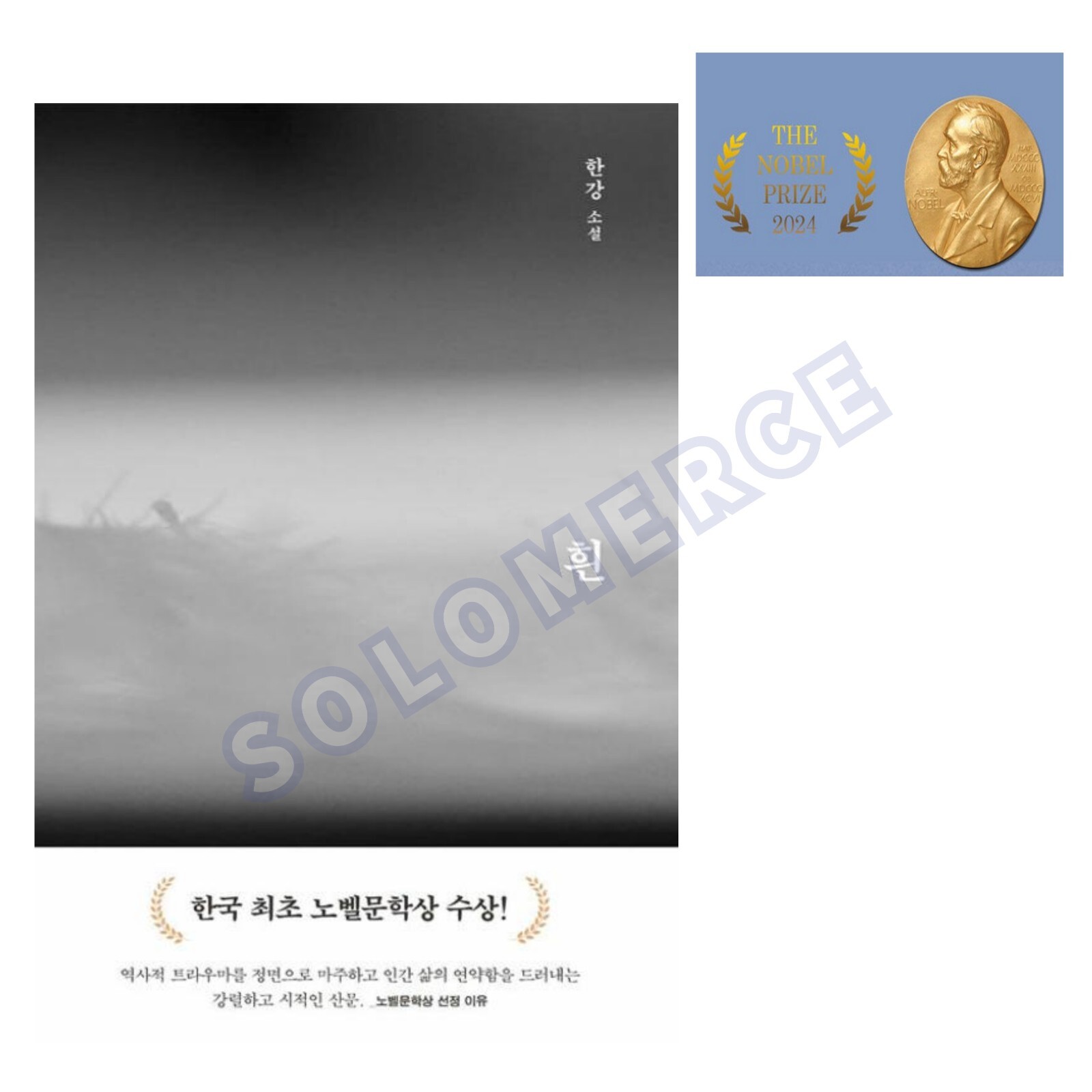 The White Book by Han Kang 흰 The Novel Prize 2024 Korean Edition