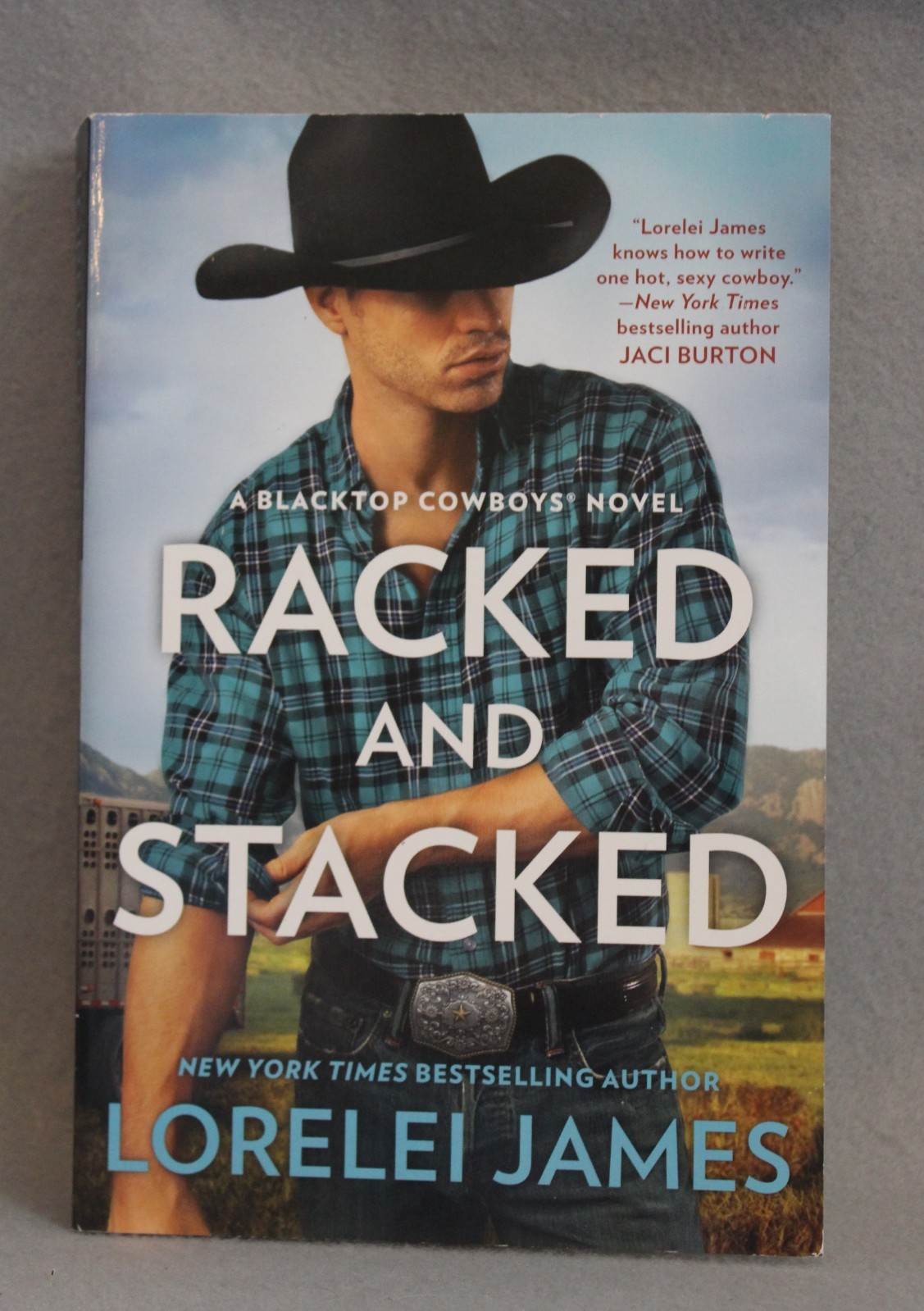 Blacktop Cowboys Series 14 Titles in 12 PBs Lorelei James PB Novellas USED Good