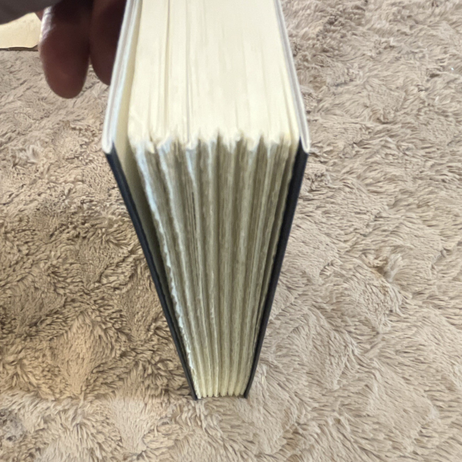 Tin House Books Loitering: New & Collected Essays by Charles D’Ambrosio, Trade …