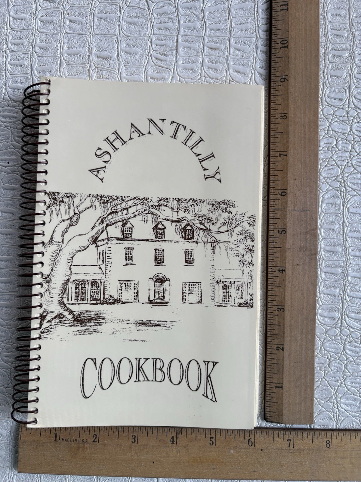 VTG Ashantilly Cookbook Darien Georgia Wire Spiral Bound Haynes Family 200 Pages