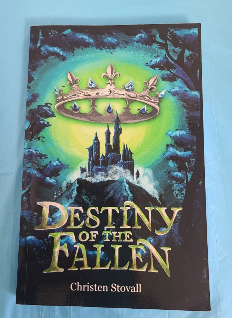Destiny of the Fallen by Christen Stovall (PB/2024)