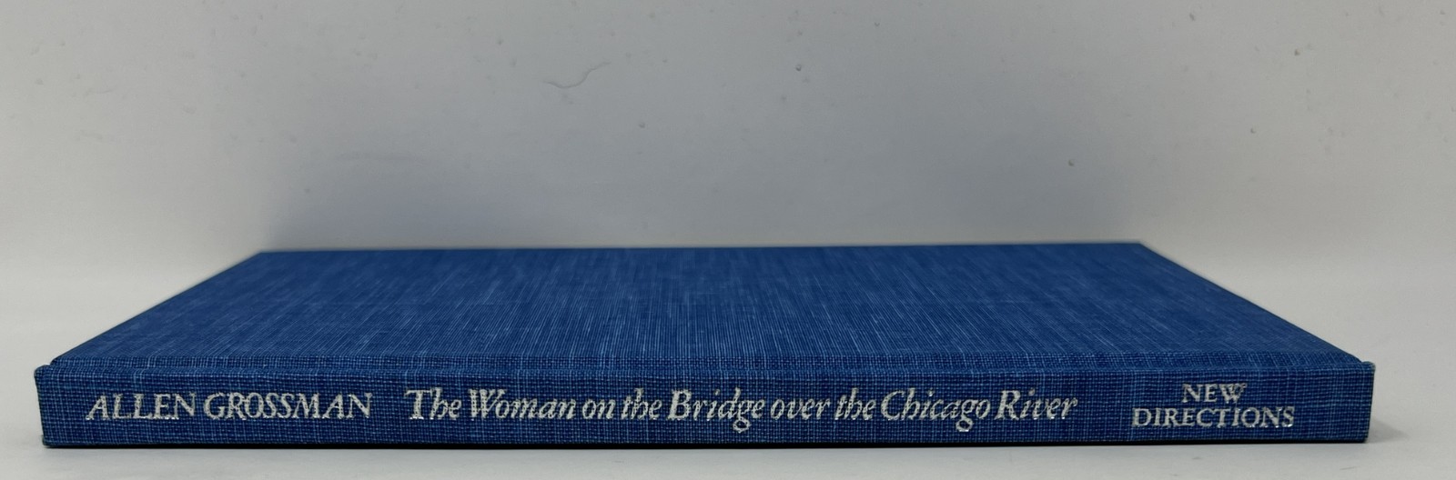 VTG The Woman on the Bridge over the Chicago River by Allen Grossman – 1979 HCDJ