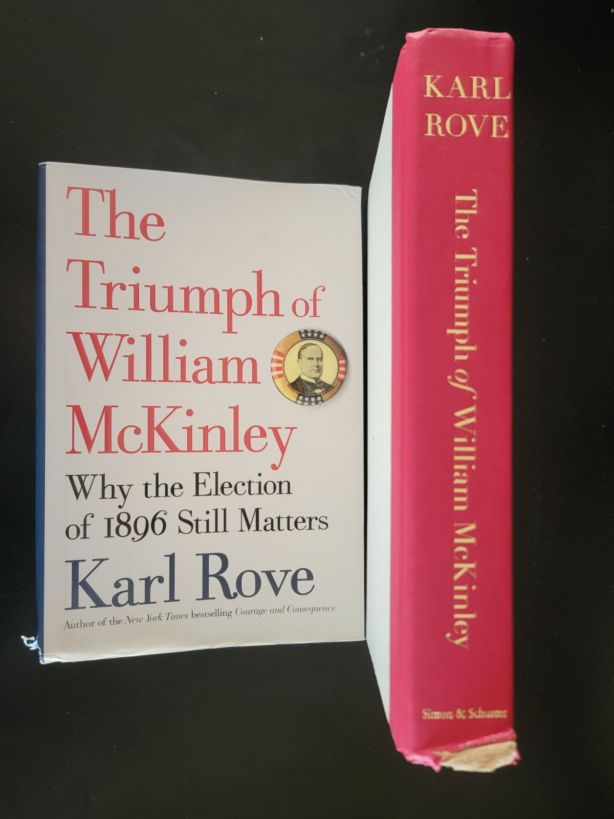 The Triumph of William McKinley: Why the Election of 1896 Still Matters – GOOD