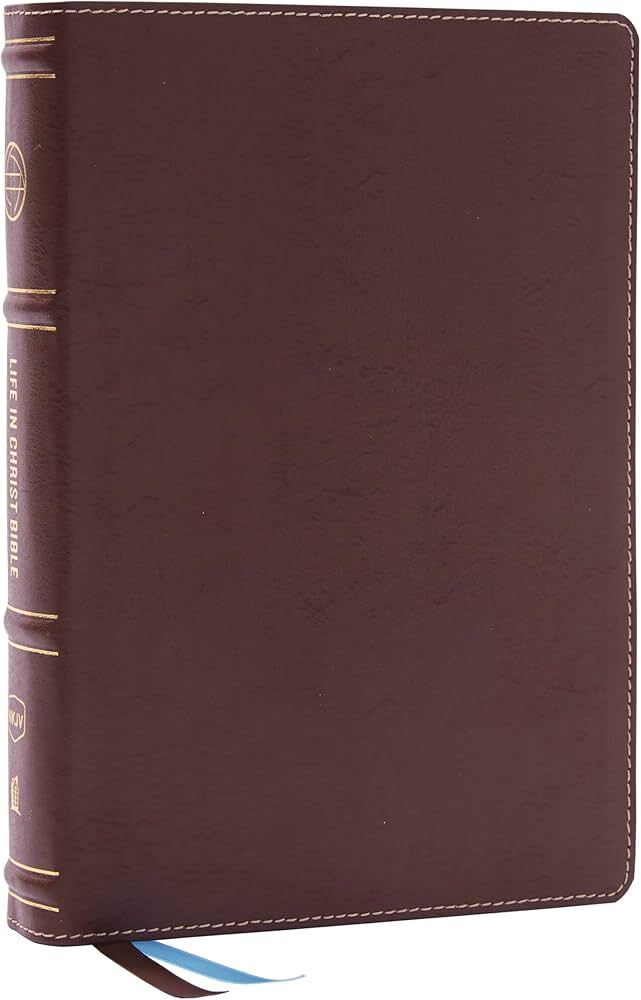 NKJV Life in Christ Bible: Discovering, Believing, and Rejoicing in Who God Says