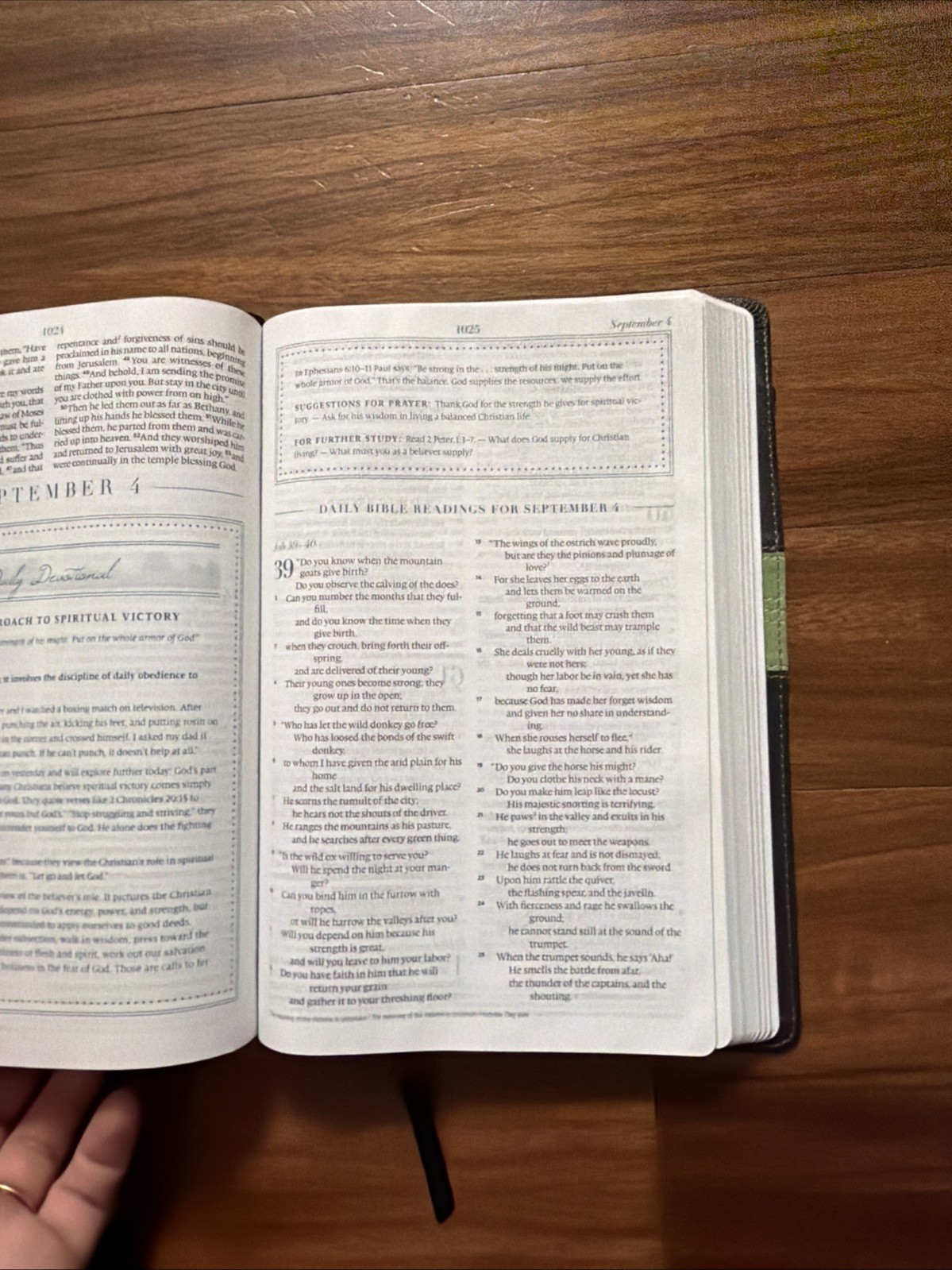 ESV MacArthur Drawing Near Devotional Bible TruTone Charcoal/Sage Trail Design