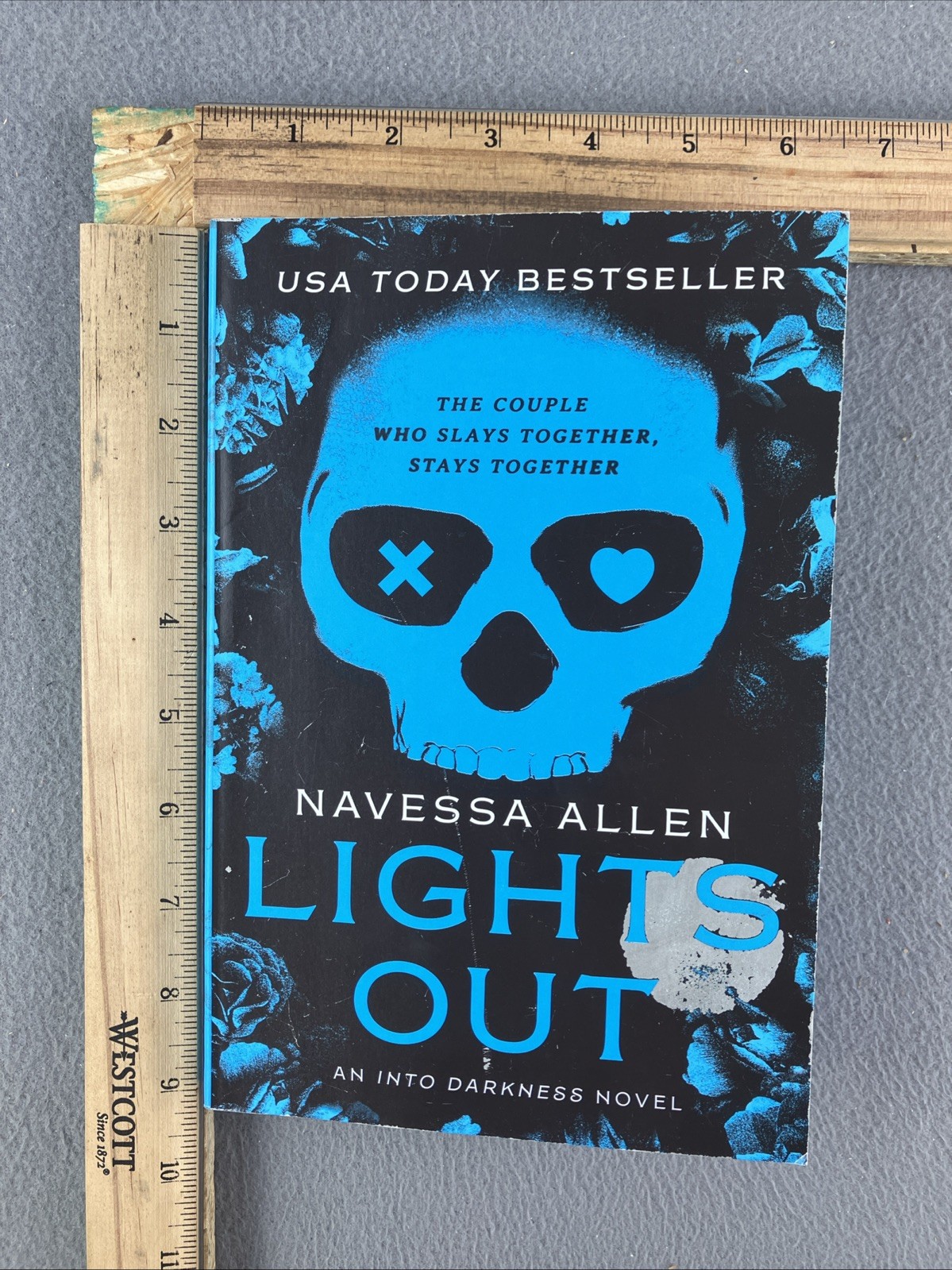 Lights Out : An into Darkness Novel by Navessa Allen (2024, Trade Paperback)
