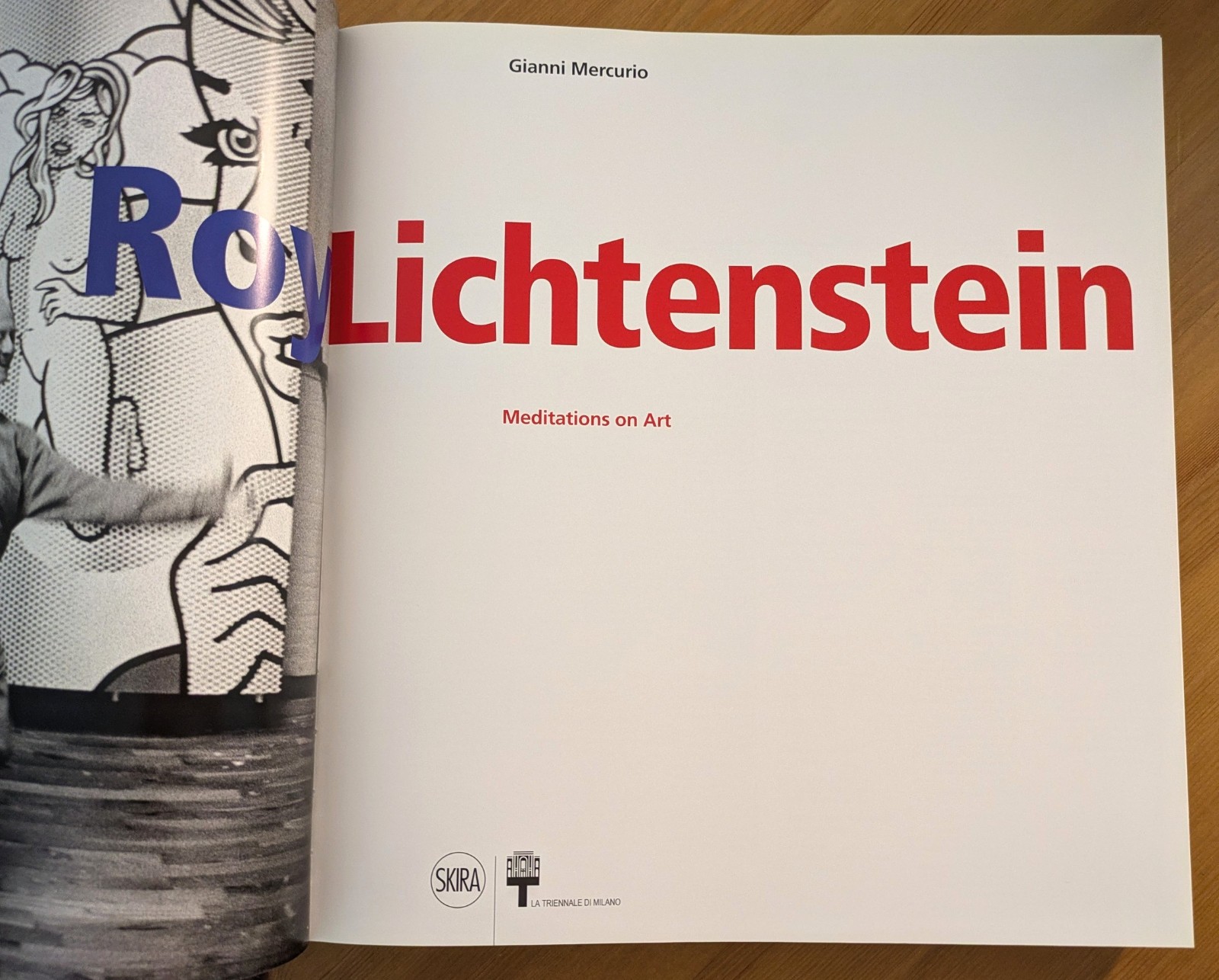 Roy Lichtenstein : Meditations on Art by Gianni Mercurio (2010, Hardcover) VG