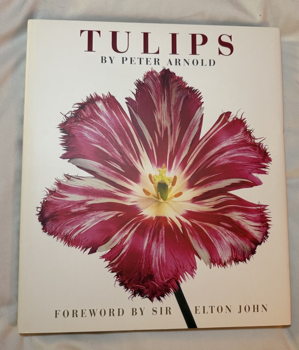 BRAND NEW!!! Tulips Photography Book Hardcover Book with Dust Jacket
