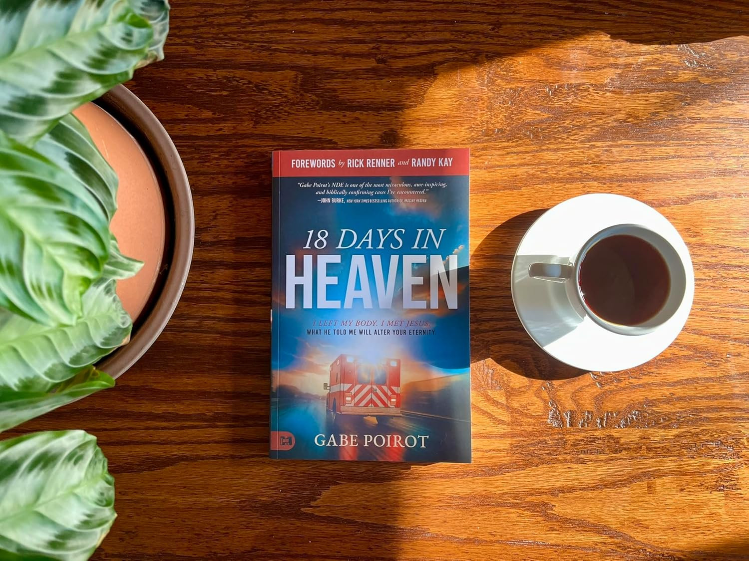 18 Days in Heaven : I Left My Body. I Met Jesus. What He Told Me Will Wreck You