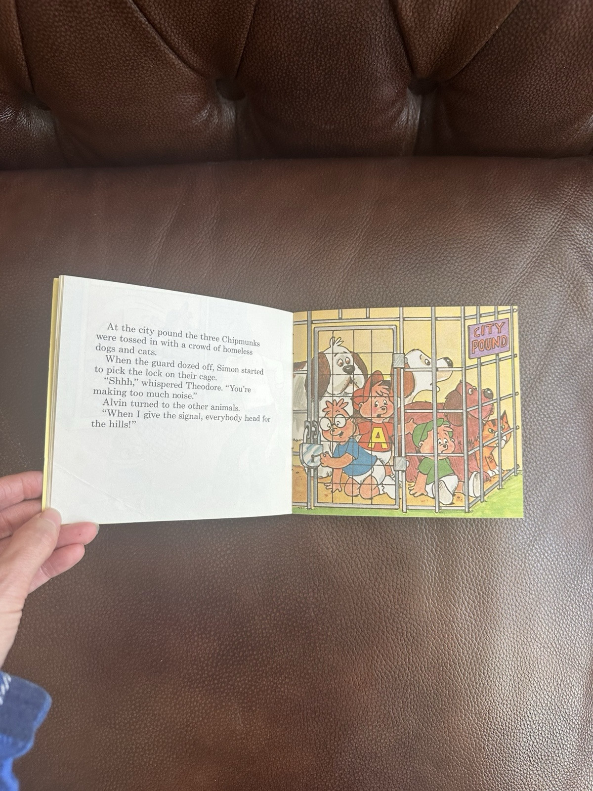 Vintage Alvin & The Chipmunks- The Chipmunk Story Paperback 1983