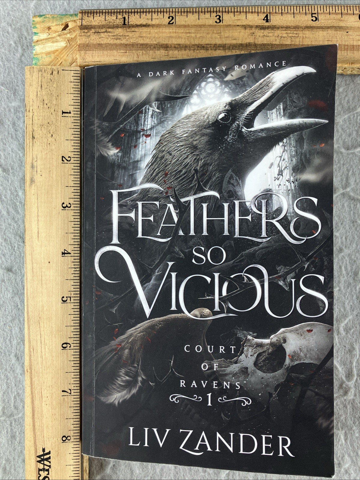Feathers So Vicious: A Dark Fantasy Romance by Liv Zander Sprayed Pages