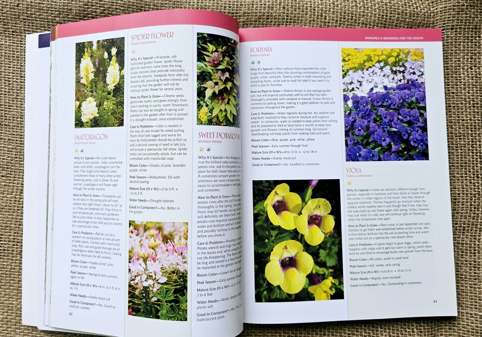 New Southern Gardeners Handbook Your Complete Guide By Cool Springs Press…