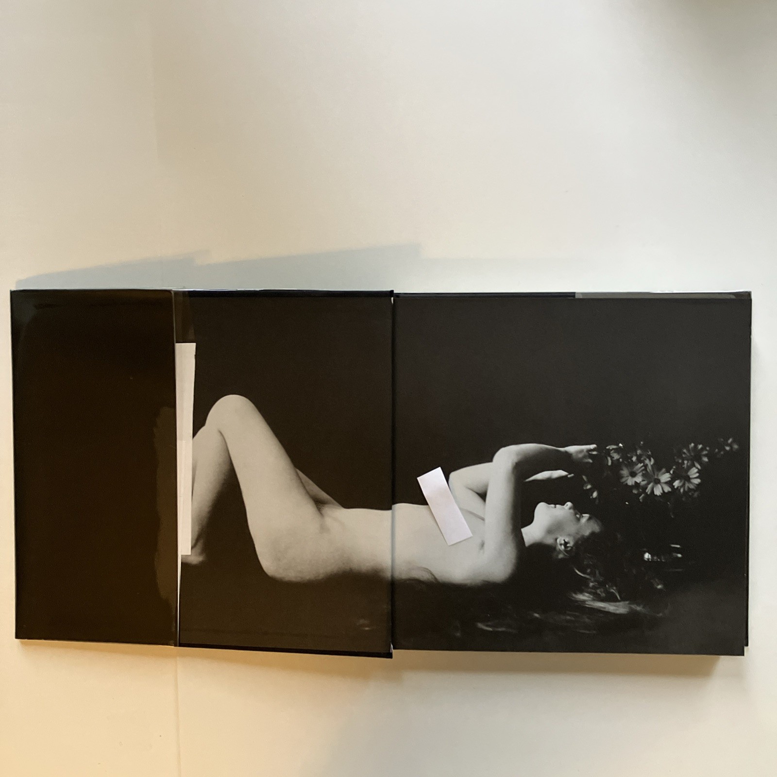 Premiere Nudes Hardcover Book First Ed 2001 by Albert Arthur Allen Photography