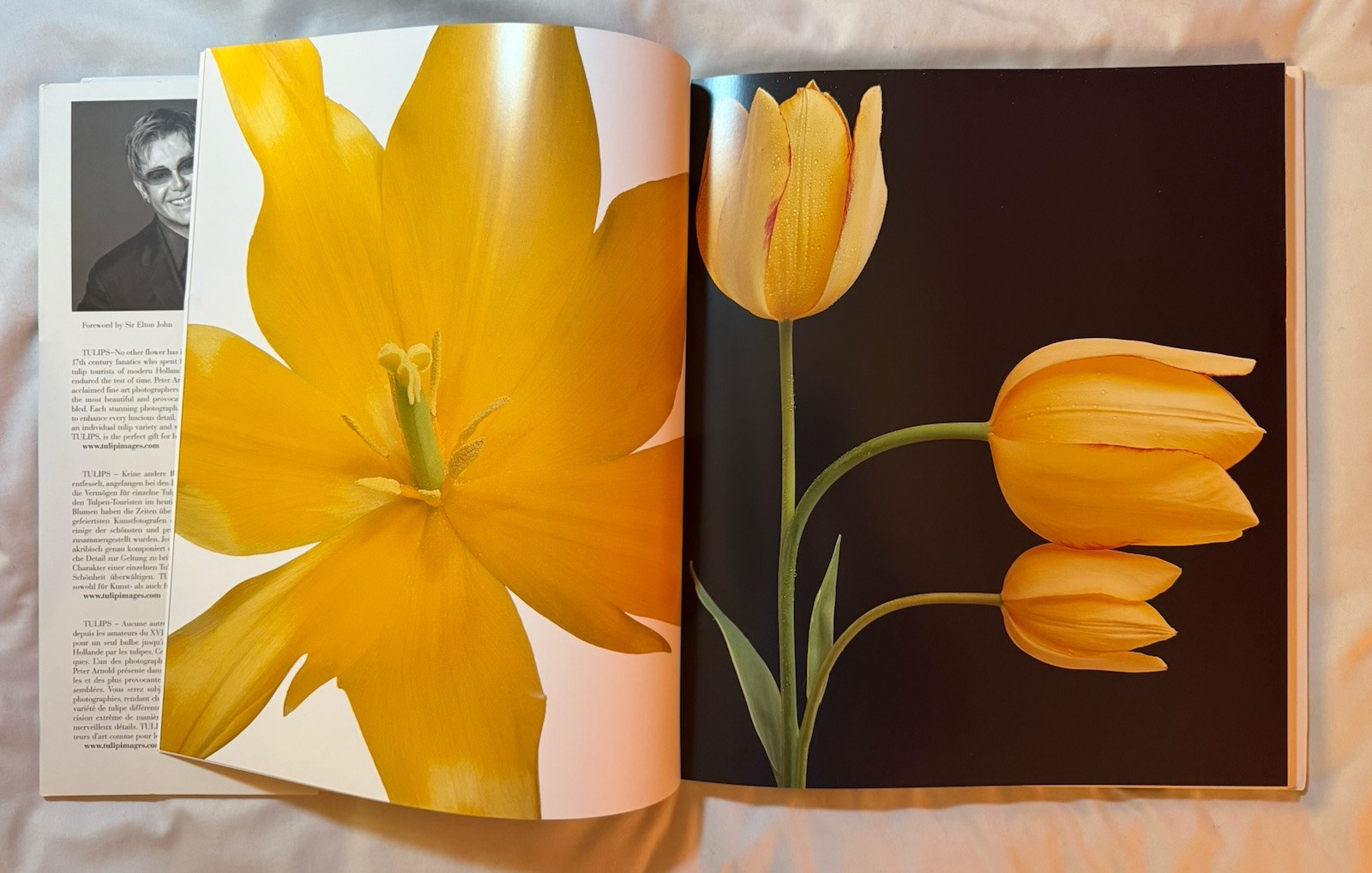 BRAND NEW!!! Tulips Photography Book Hardcover Book with Dust Jacket
