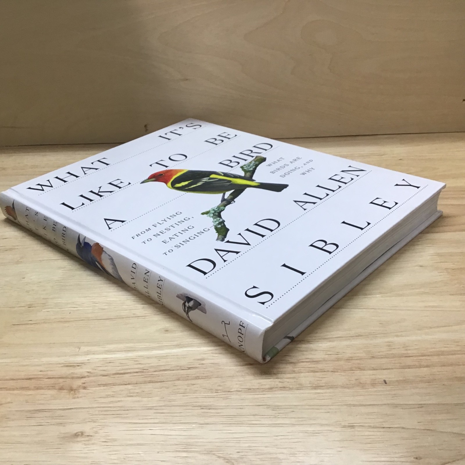 “What It’s Like to be a Bird” by David Allen Sibley