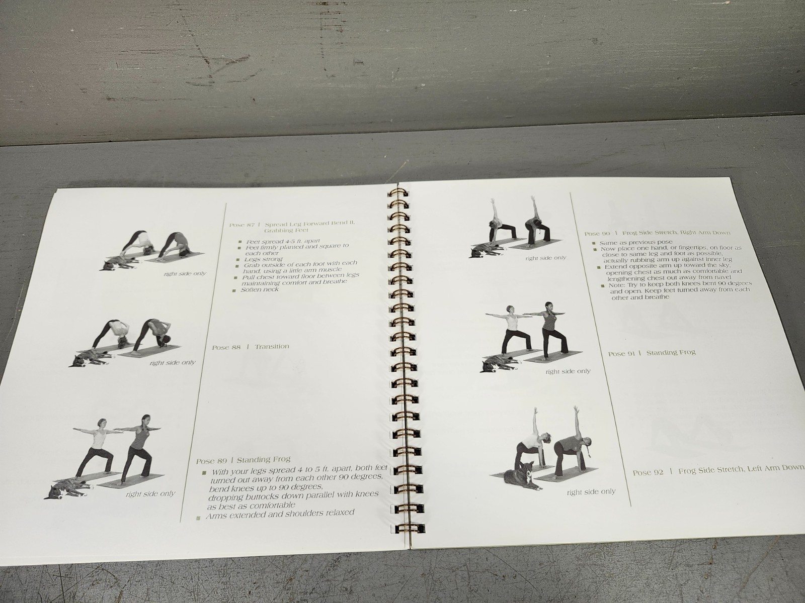 Bryan Kest’s Advanced Yoga 2 – 90 minute Workout Training Booklet w/ 2 Audio CD