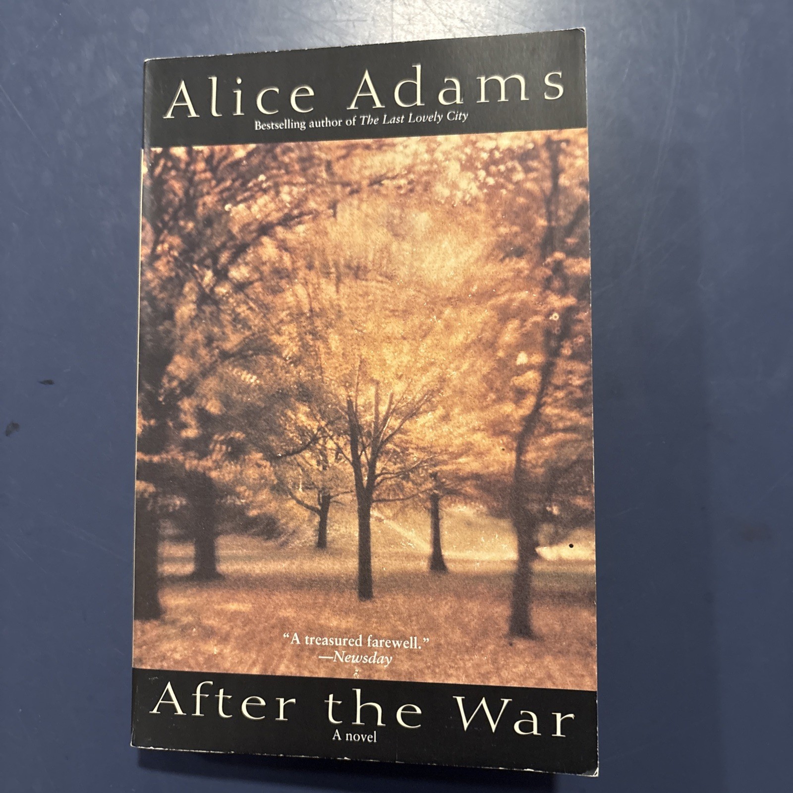 After the War by Alice Adams (2001, Trade Paperback)