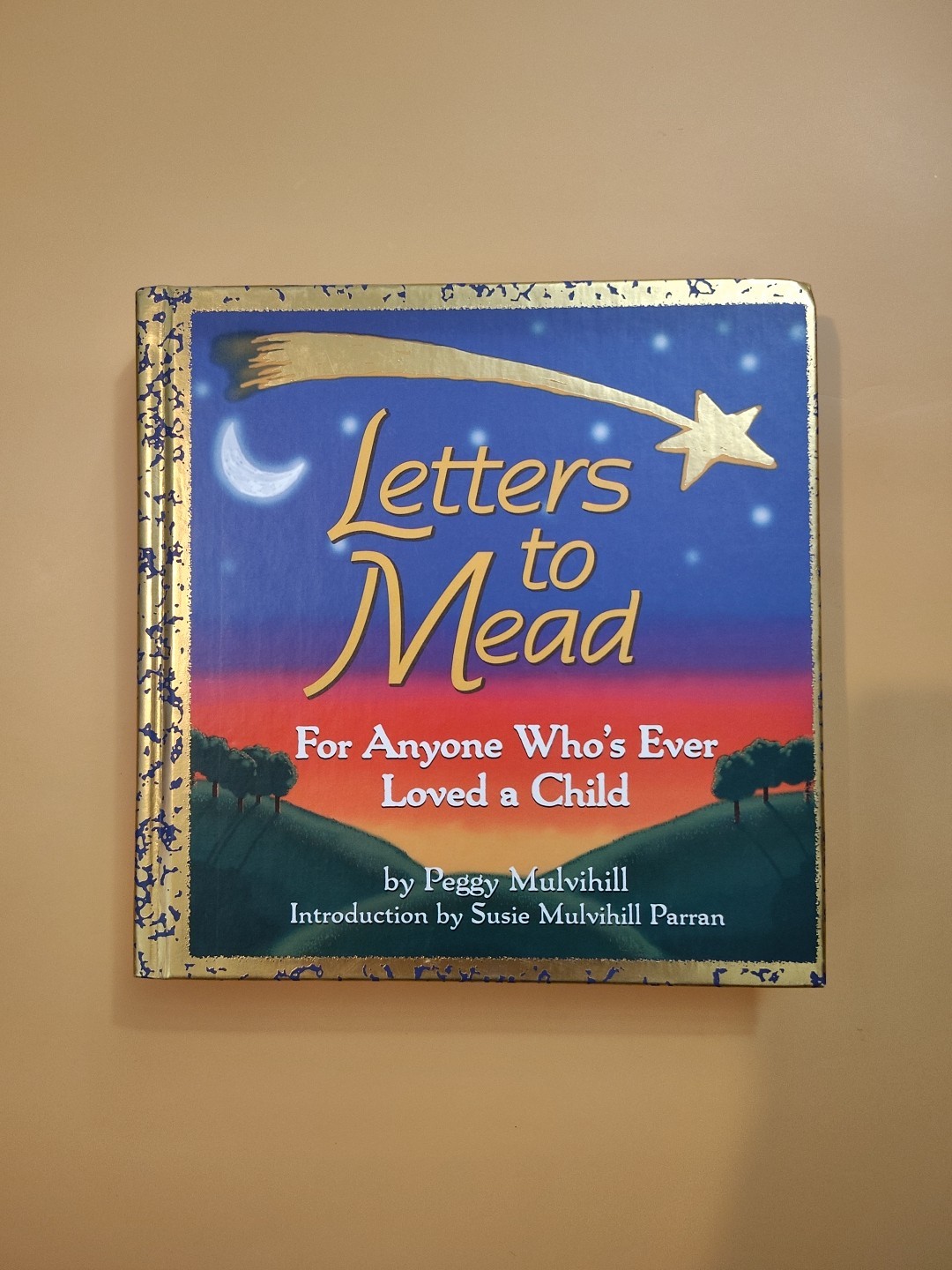 Letters to Mead: A Mother’s Extraor…, Mulvihill, Pegg