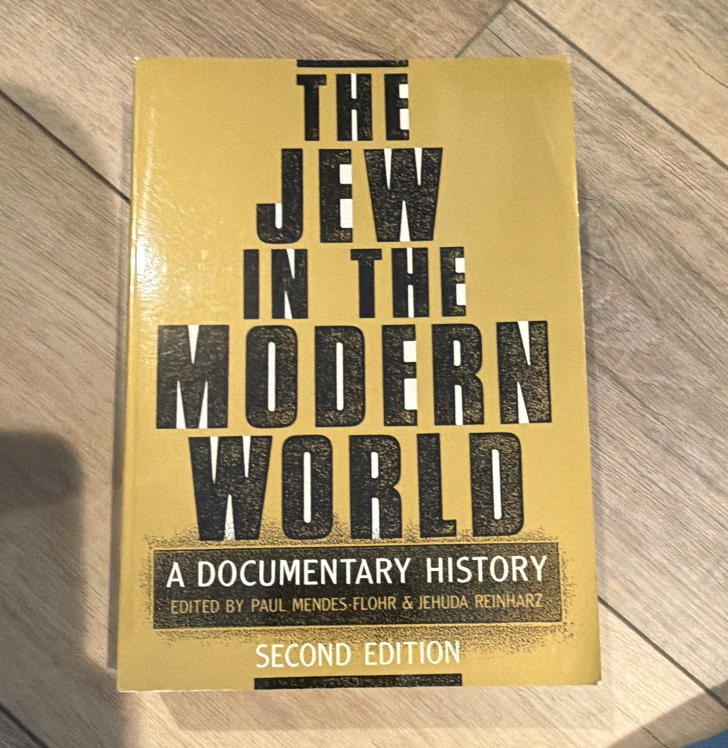 Paul Mendes-Flohr & Jehuda Reinharz The Jew in the Modern World PB 2nd Ed