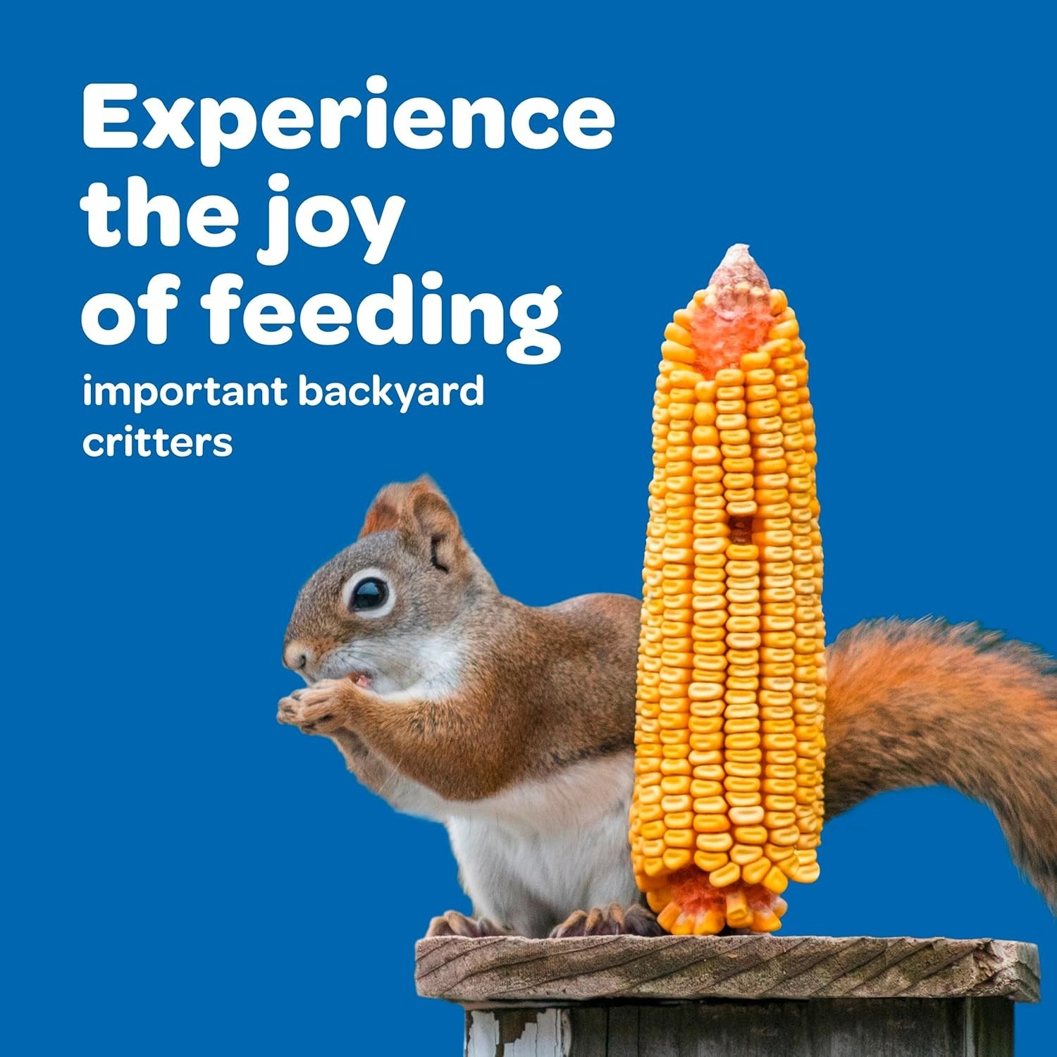 6.5 lb Organic Corn On The Cob – Stimulates Appetite and Attracts Wildlife!