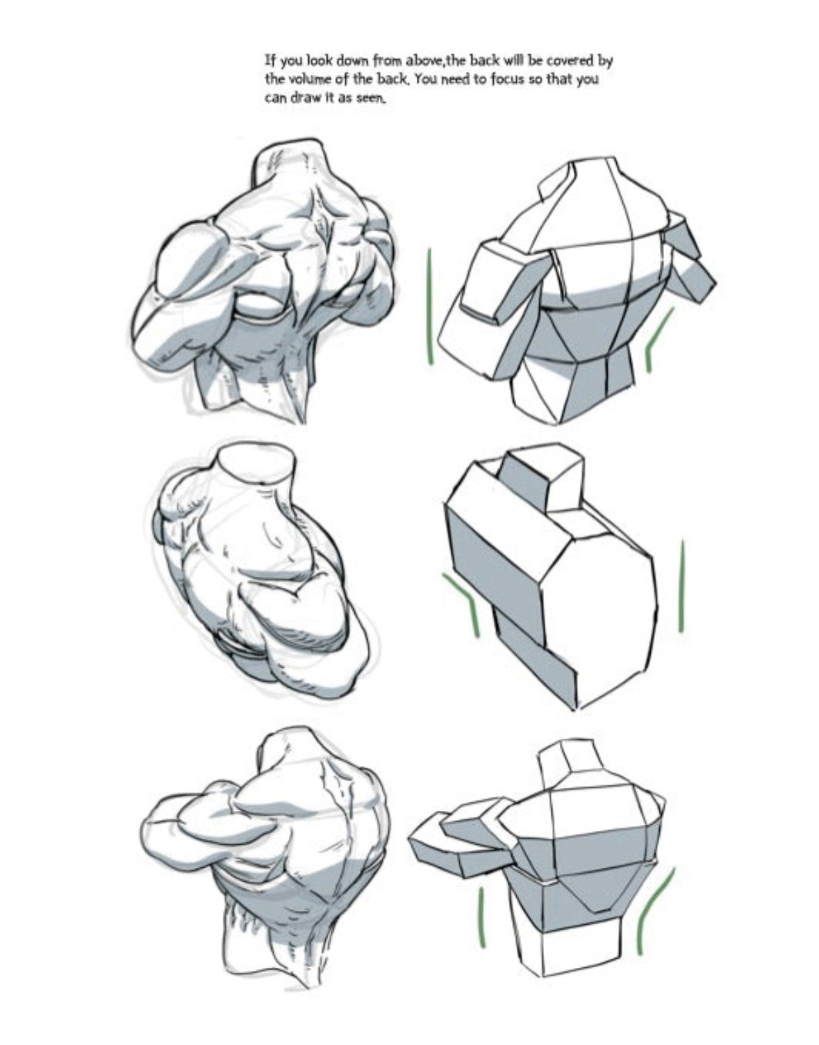 Character Drawing By Dong Ho Kim Superani Illustrator Human Body Guide Book