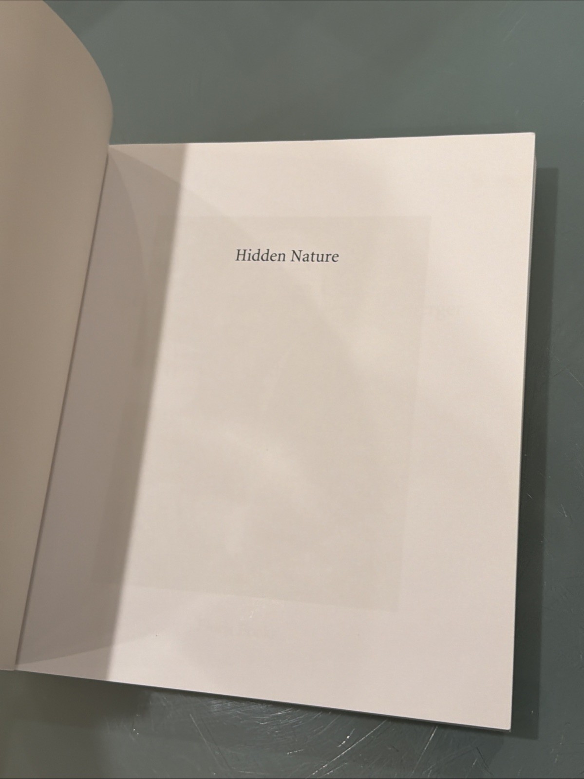 Hidden Nature: The Startling Insights of Viktor Schauberger – Paperback
