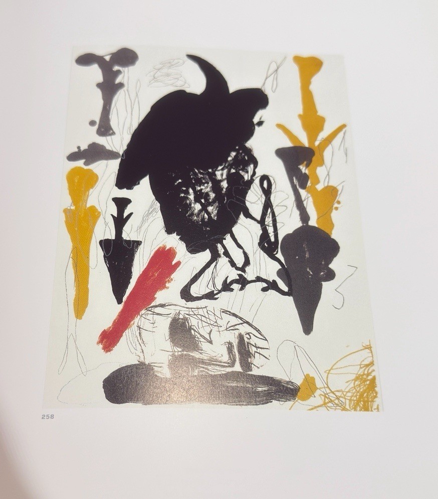 Mimmo Paladino: Graphic Work 1974#2001 (Art of This Century) by Paladino, mimmo